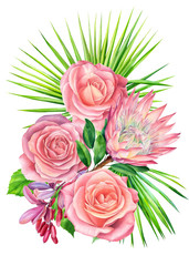 Tropical set off flowers, barberry, protea, palm leaves, roses, isolated background, watercolor drawings.