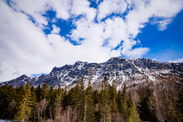 Mountains and trees in Glacier National Park, Montana