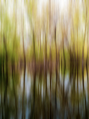 Early spring trees abstract background