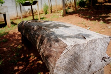 Bench made of a tree trunk