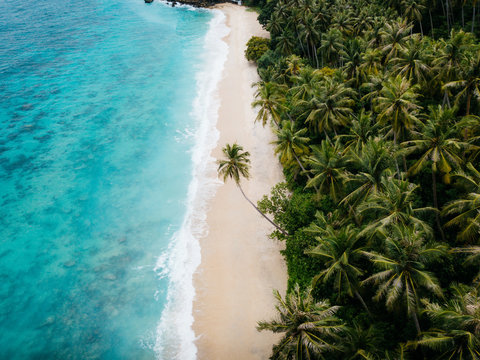 Aerial view of sandy beach with coconut trees and turquoise water in Sabang, Aceh, Indonesia.