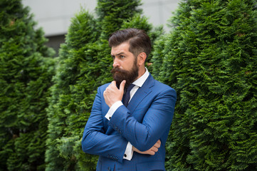 Esthete detail. bearded man in jacket near cypress tree. handsome man smartly dressed. ceo walk in street. Business man walking outdoor. Businessman In Nature. energy efficiency concept