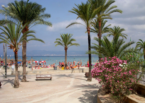 palma di maiorca