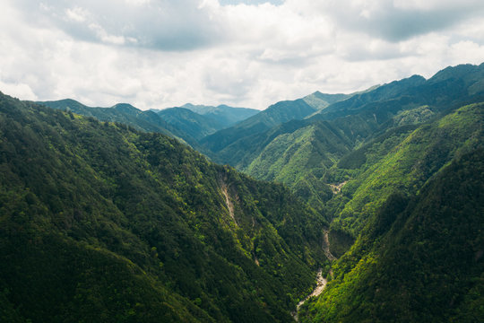 Aerial view of forest at Furu River, Nara, Japan.