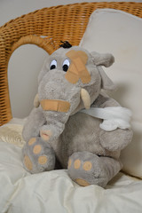 verletzter Elefant