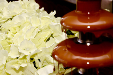 Kwiaty i zastygajaca czekolada 