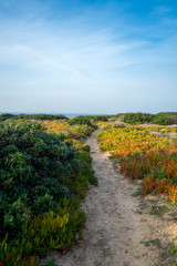 Fototapeta na wymiar Walking colorful path in the nature