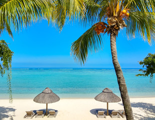 Beautiful white sand beach with palm trees, turquoise ocean water and blue sky with clouds in sunny day