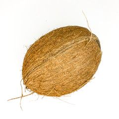Tropical hole coconut on a white background