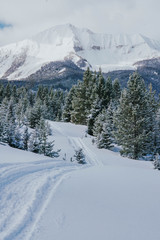 Fototapeta premium winter mountain landscape