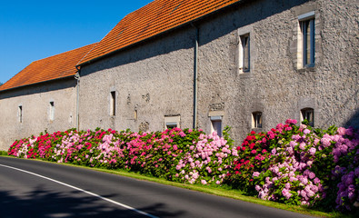 Fototapete bei efototapeten.de bestellen   