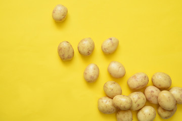 Young fresh potatoes on a yellow background.