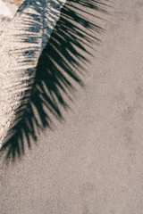 Fototapeta na wymiar Palm shadows on asphalt road texture in Montenegro. Background for a marine summer card