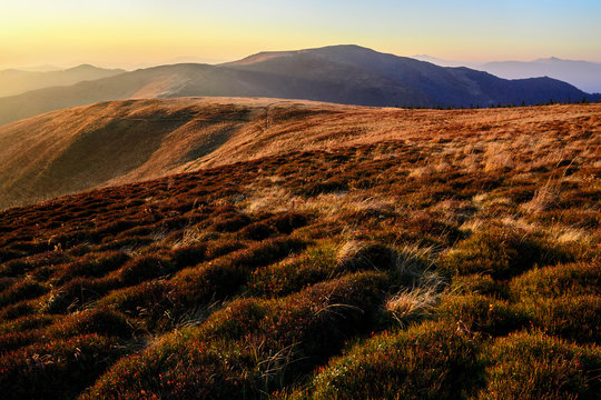 Ukraine, Zakarpattia region, Carpathians, Borzhava, Carpathian Mountains&dagger;at sunset