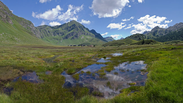 Hochmoor, Ritom, Schweiz