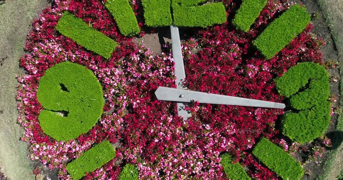 Drone shot of a clock made of flowers