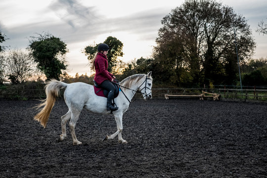 Young woman riding on white Cob horse in paddock.