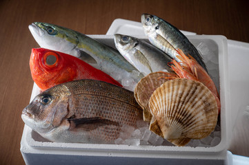 fresh japanese seafood in styrofoam box with ice