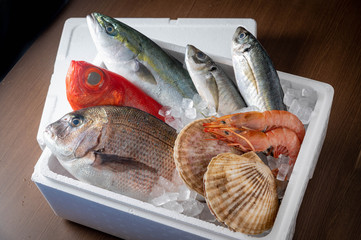 fresh japanese seafood in styrofoam box with ice
