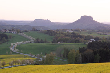 Raps, Sonnenuntergang, Sächsische Schweiz.