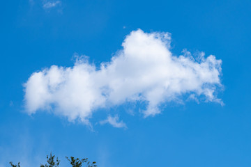 In sunny spring summer, clouds float on blue sky. 