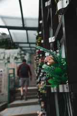 Fototapeta premium A person walking through a cemetery 