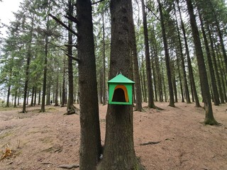 A green-colored bird feeder. The feeder is made of wood in the shape of a house and painted with green paint.