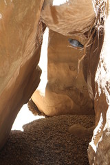 Bird in Canyon Torrent de Pareis, Mallorca, Spain