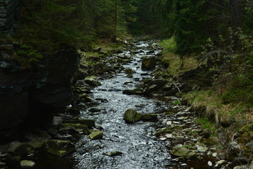 Schwarzwassertal im Erzgebirge