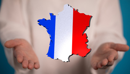 3d Digital France map country modern.