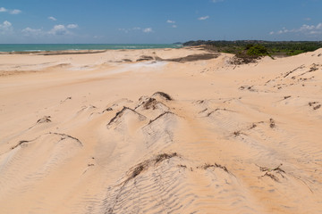 Malembá dunes, Pipa beach, Tibau do sul, near Natal, Rio Grande do Norte, Brazil on September 25, 2016