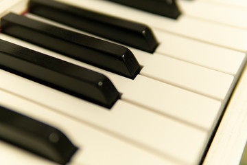 Fototapeta na wymiar Piano, piano keyboard, white keys and black