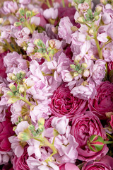 bouquet of flowers with roses and Mattioli. high quality. background and texture