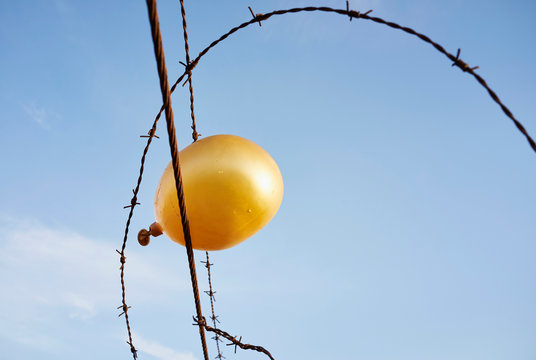 Deflating golden balloon caught in barbed wire