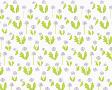 Illustration of dandelions on white background