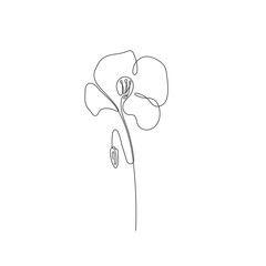 Poppies flowers continuous line drawing. Editable line. Black and white art.