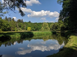 lake in the forest