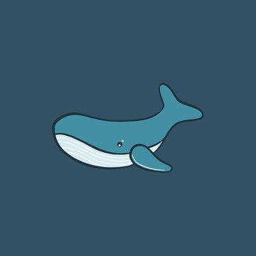 whale vector illustration