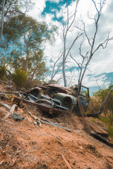 broken car in the forest