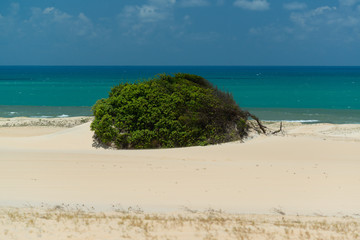 Small boat with fisherman in Pipa beach, Tibau do sul, near Natal, Rio Grande do Norte, Brazil on September 25, 2016