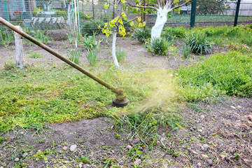 A man trimmed grass on the territory near the house with a trimmer.