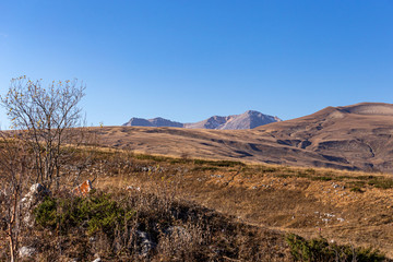 Autumn in the mountains, warm season, blue sky and nature says goodbye to summer.