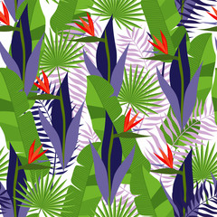 Summer tropical pattern with exotic flowers. Strelitzia with leaves on a white background.