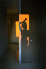 Beautiful silhouette of graceful woman on closet doors