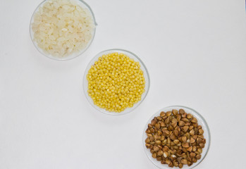 Set of colors food rice millet buckwheats on the plate on the white background