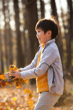 Outdoor play boy leaves in autumn