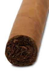 cigar on a white