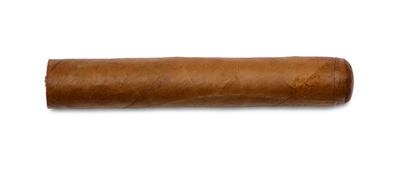 cigar on a white