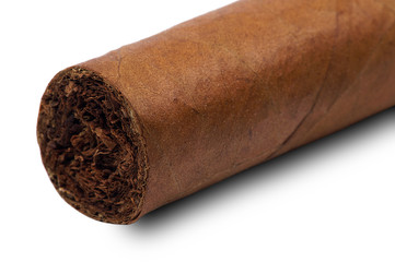 cigar on a white