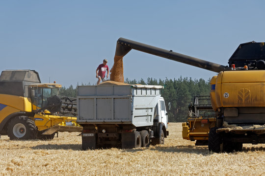 Kharkiv Region, Ukraine - July 25, 2017: Combine harvester load wheat in the truck at the time of harvest in a sunny summer day in Kharkiv Region, Ukraine on July 25, 2017.